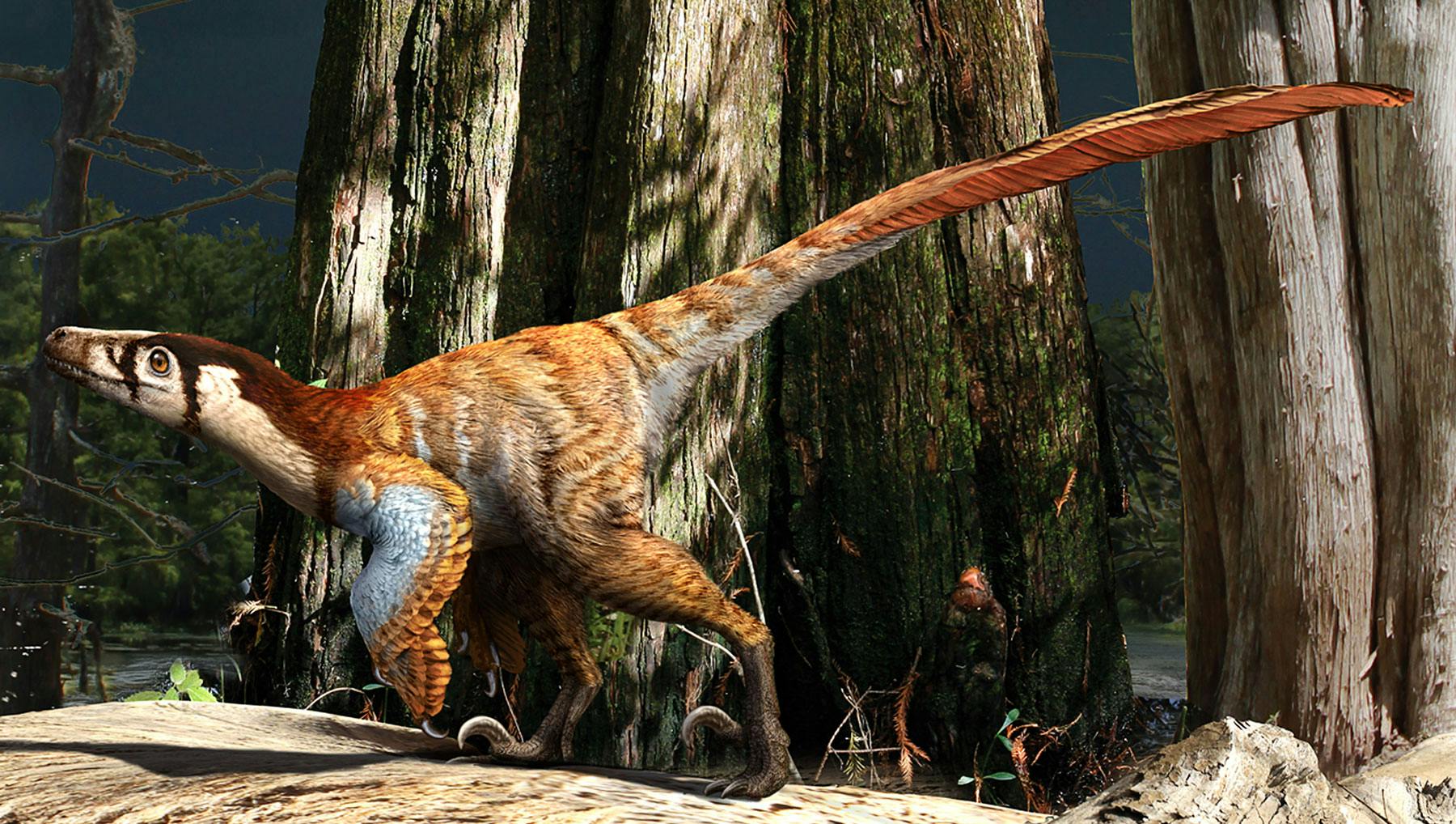 Illustration of a raptor, surrounded by trees